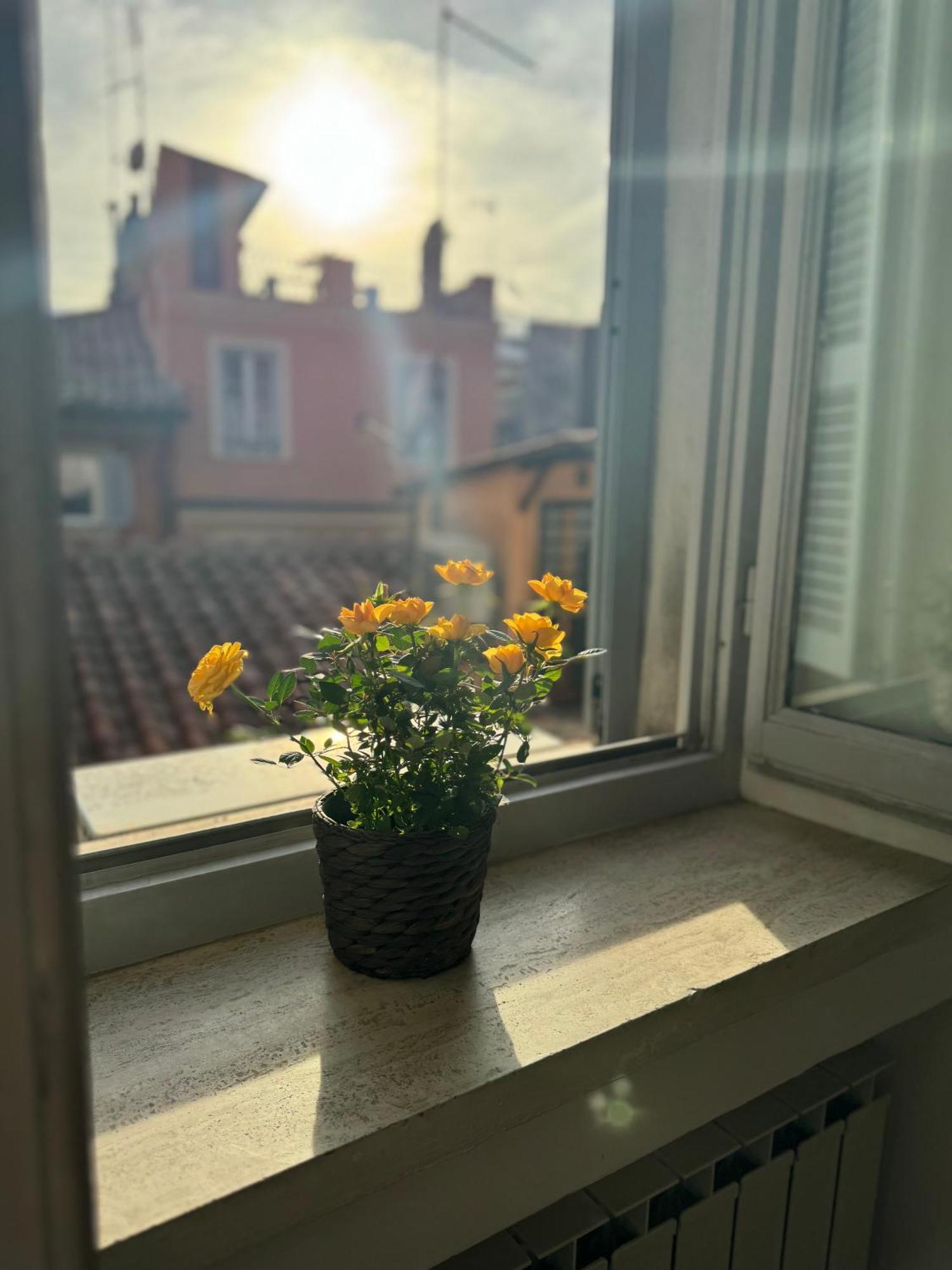 Labanca'S Luxury Navona Villa Roma Ngoại thất bức ảnh