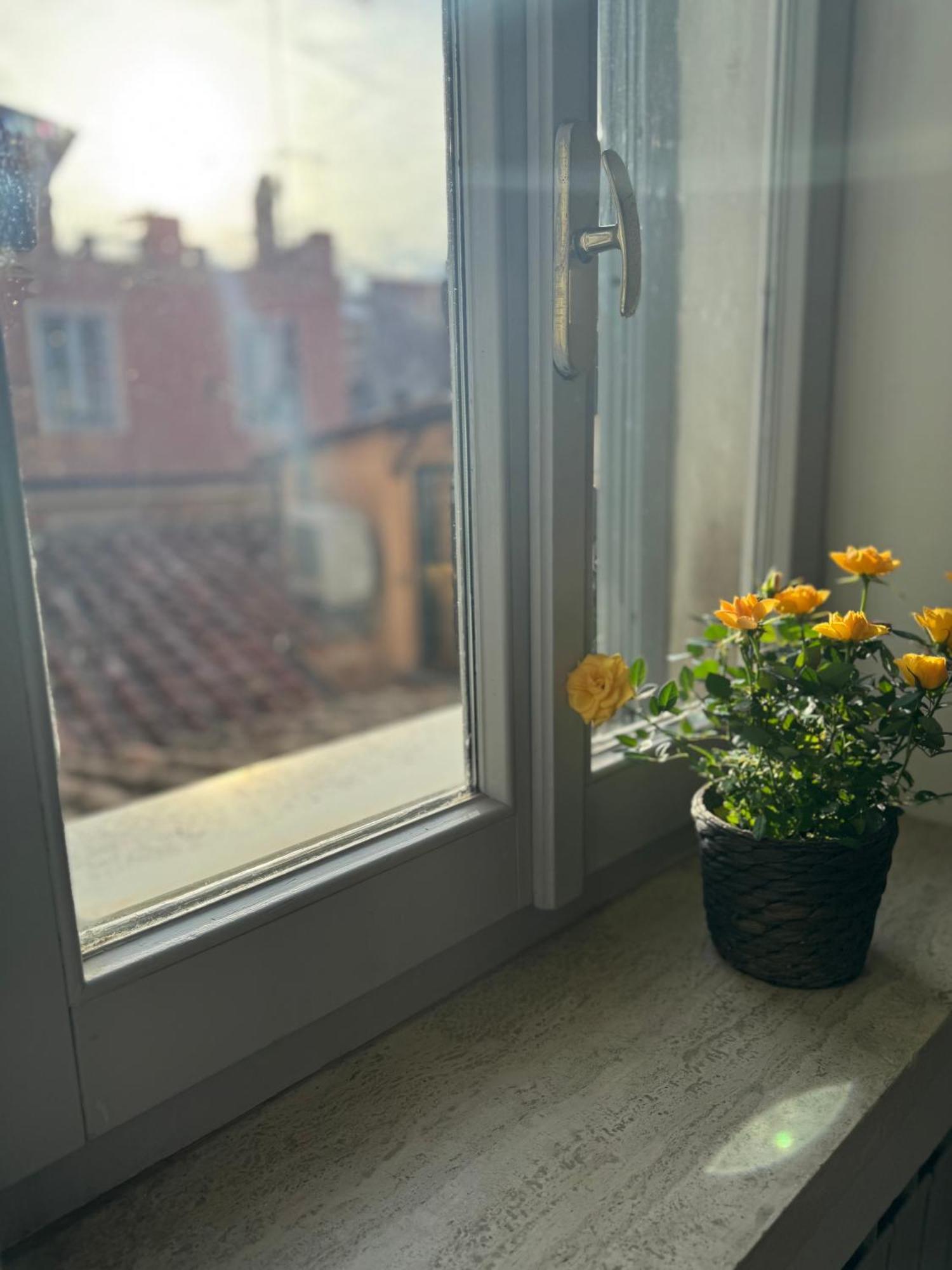 Labanca'S Luxury Navona Villa Roma Ngoại thất bức ảnh